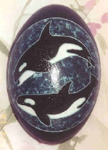 dolphin.jpg (22K)