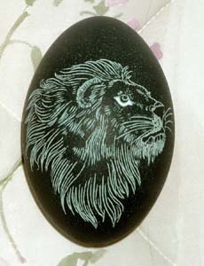 lion.jpg (23K)