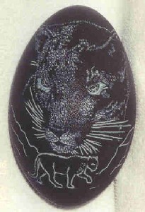 tiger.jpg (22K)